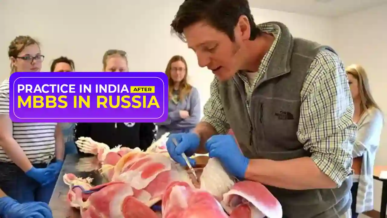 Practice in India after MBBS from Russia
